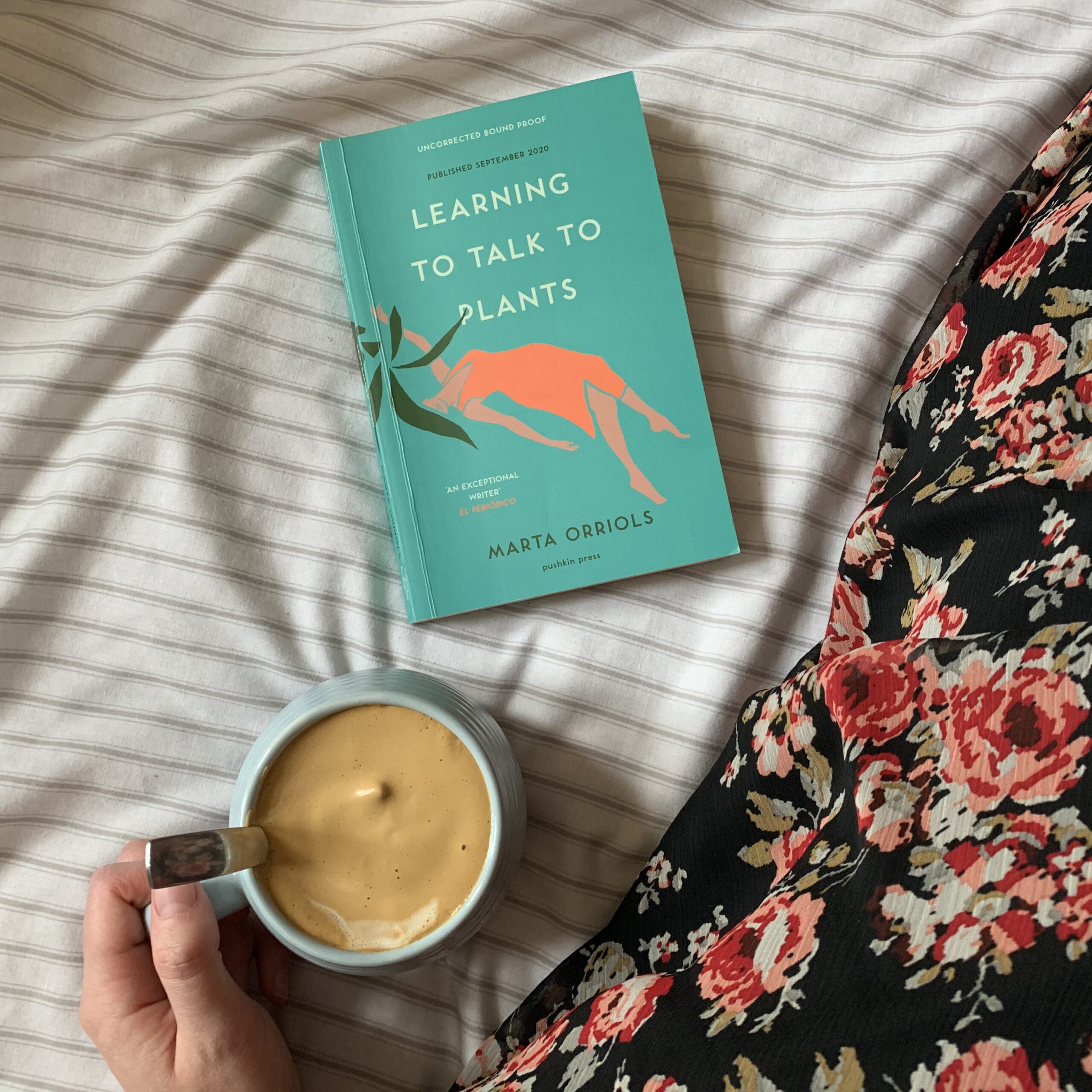 Learning to Talk to Plants by Marta Orriols, tr. Mara Faye Lethem